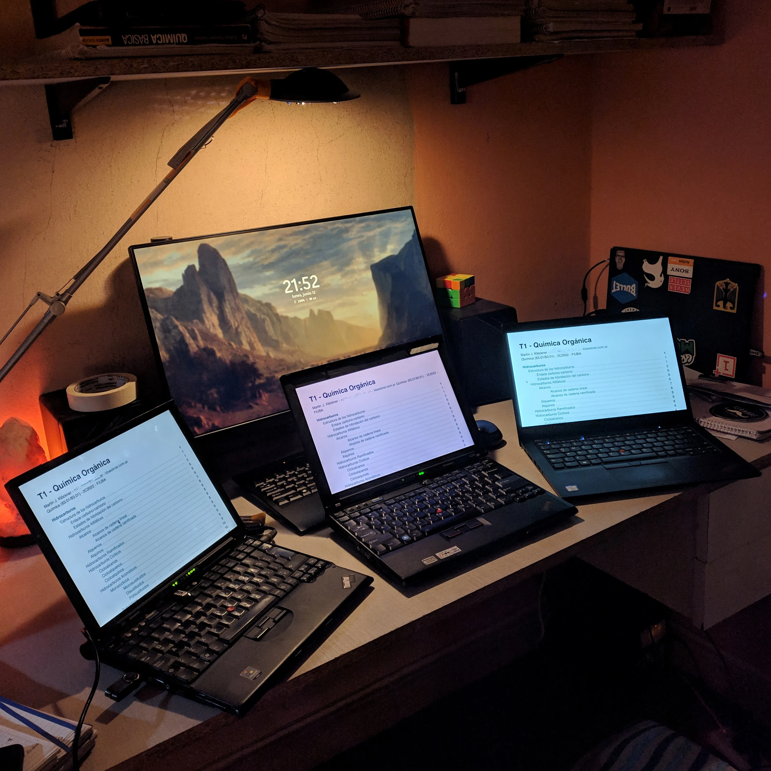 my thinkpad collection